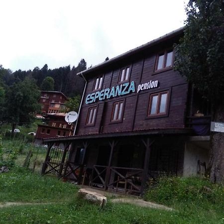 Esperanza Apart & Pension Guest House Ayder Yaylasi Luaran gambar