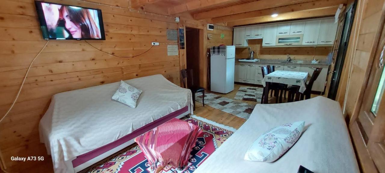Esperanza Apart & Pension Guest House Ayder Yaylasi Luaran gambar